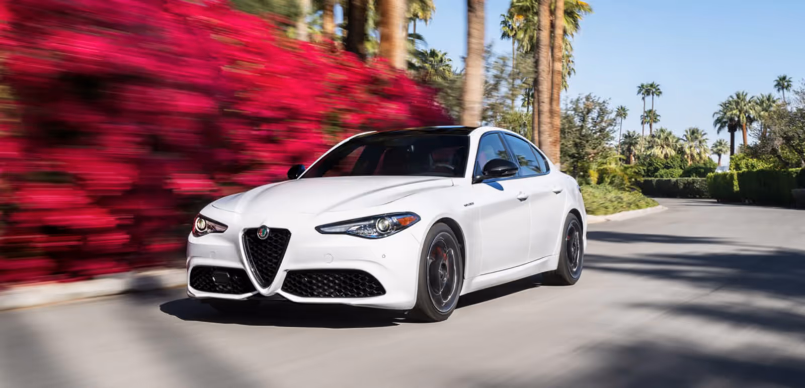 Alfa Romeo Modelos